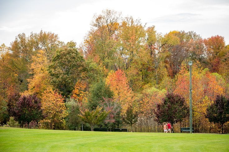 OUTDOORS: Remembering the multi-talented Wayne Brewer