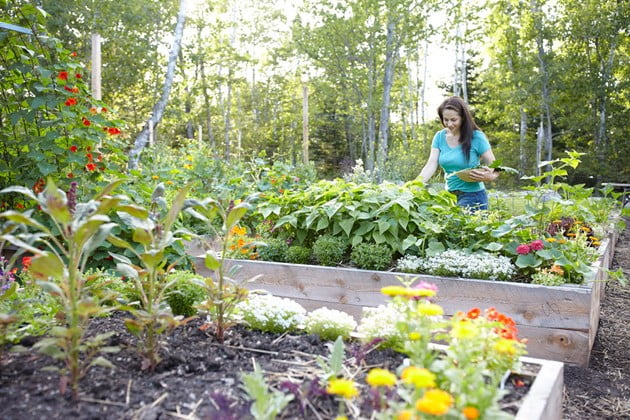 Gardening recommendations