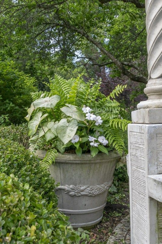 Gardening: Get the recipe for plant combinations in box gardens