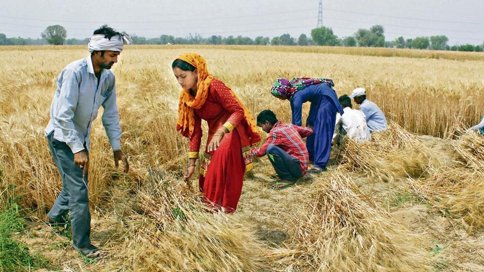 Divided through jobs, united in pursuit of growth