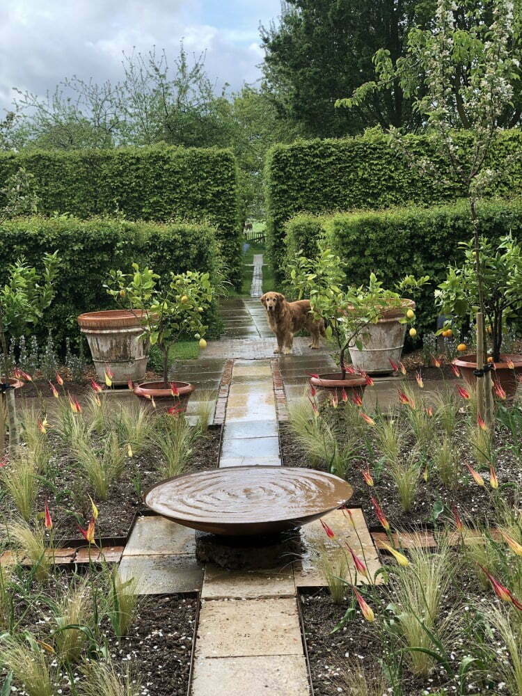 Gardens of the Cross Timbers: All it takes is a bit gardening