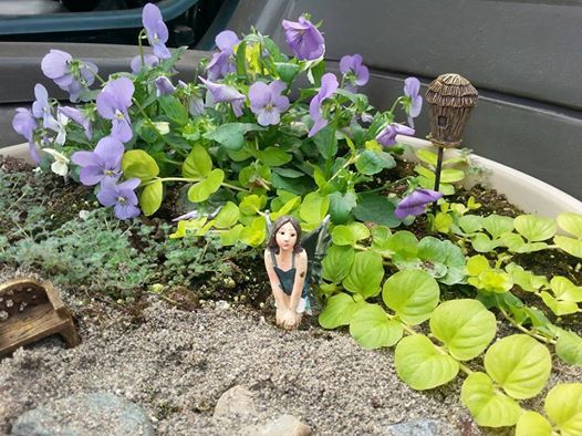 Gardening FAQs with Richbar Golf and Gardens