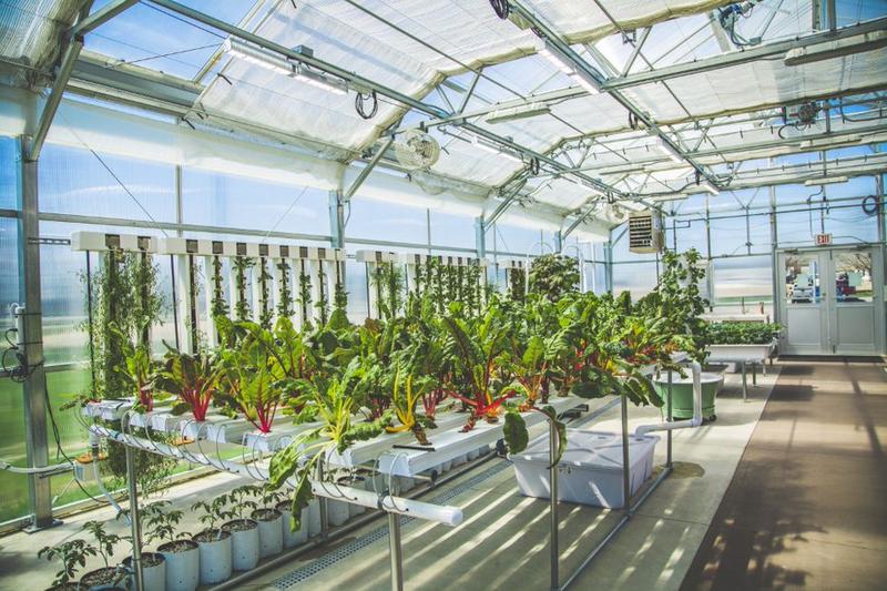 Lutheran Finalizes Exterior Design For New Hospital