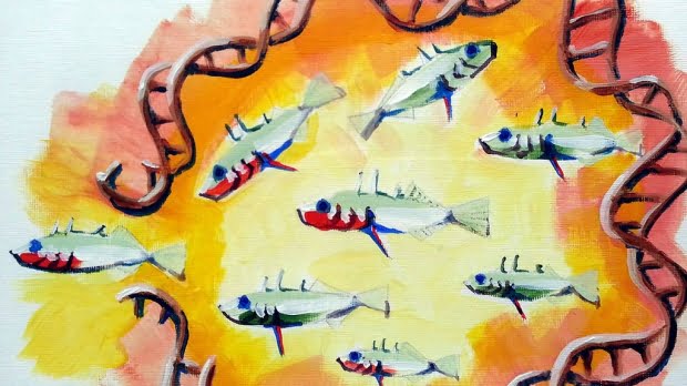 Painting a fuller image of ways antibiotics act