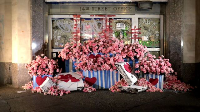 Seeds, the Gateway Drug to Gardening