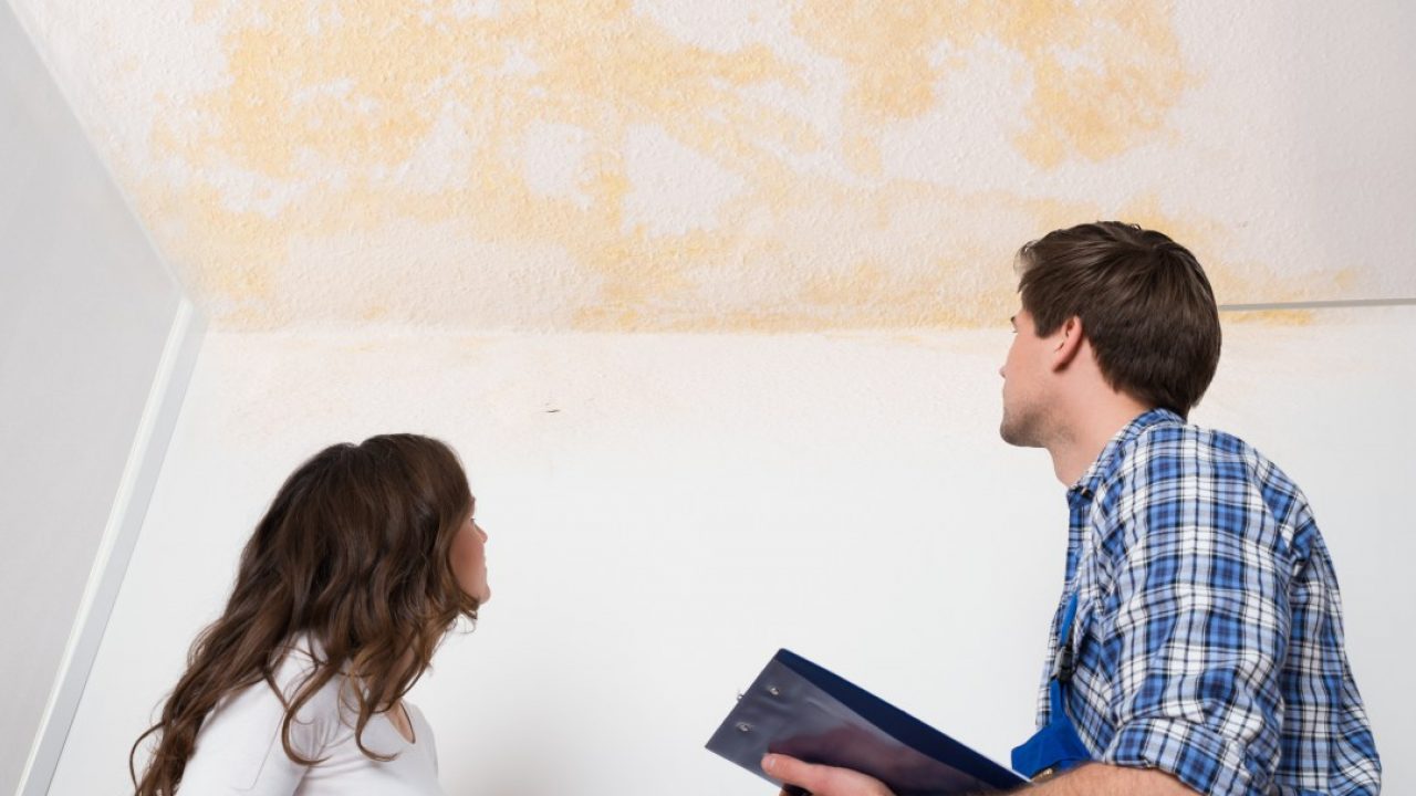 Home Suffering From Leaks