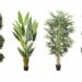 How to Use Artificial Outdoor Plants