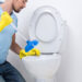 Home Remedies to Tackle Your Clogged Toilet