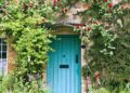 Vibrant Vine Flowers: Adding Color and Beauty to Your Garden